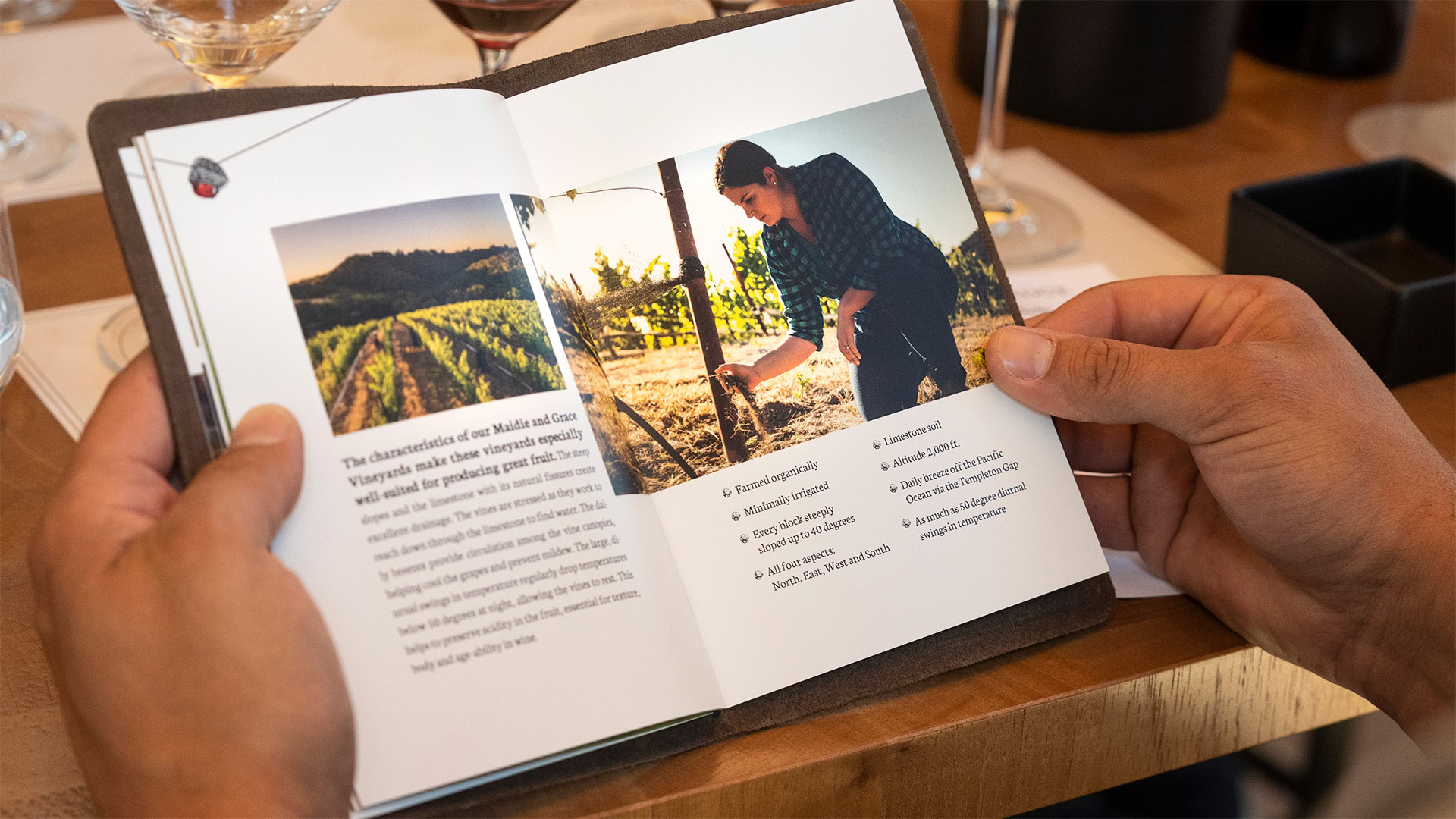 A person holds an open booklet featuring a photograph of someone tending to a vineyard. The pages describe vineyard characteristics and list various wine-related details. Glasses of wine and papers are visible on the table.