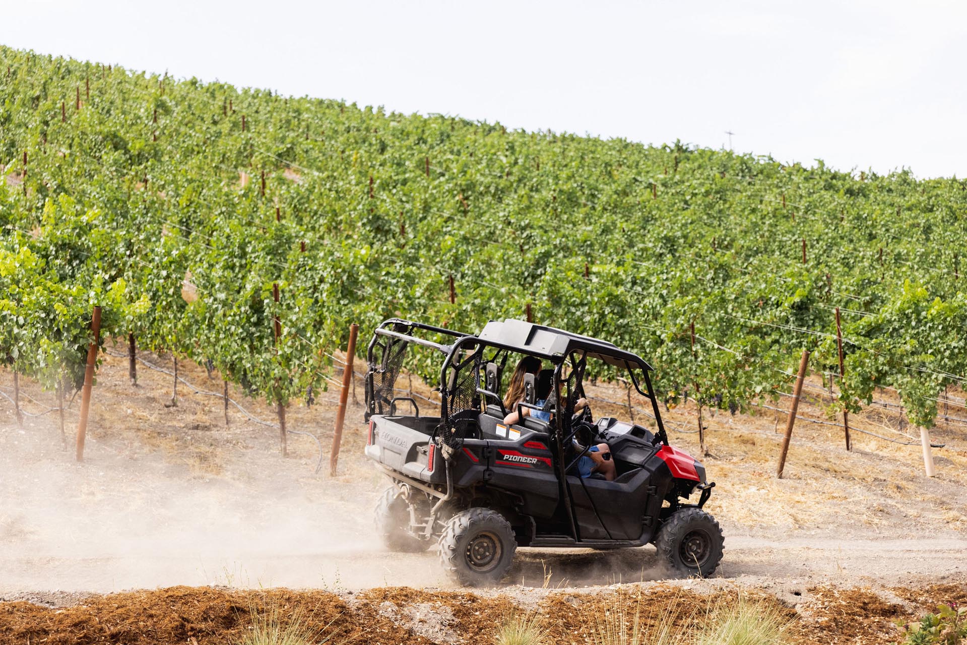 An off-road vehicle with passengers drives along a dirt path in Paso Robles, skirting a lush green vineyard on a sunny day. The vineyard slopes gently upward, and a trail of dust follows the vehicle.